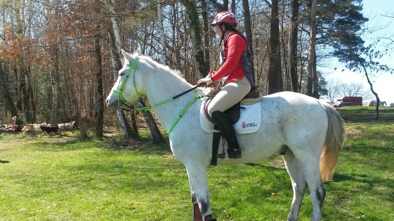 Concurso TREC Internacional en Saint Antoine d´Auberoche (Francia)